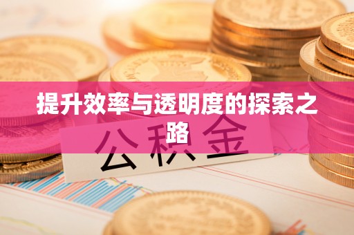 凉山提升效率与透明度的探索之路