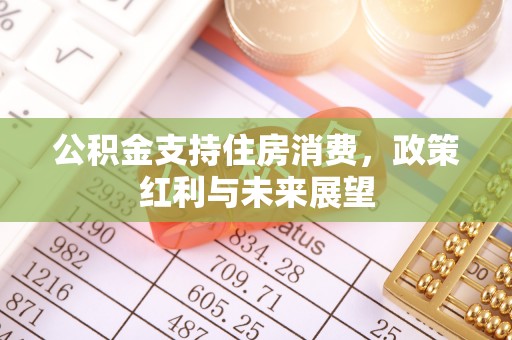 凉山公积金支持住房消费，政策红利与未来展望