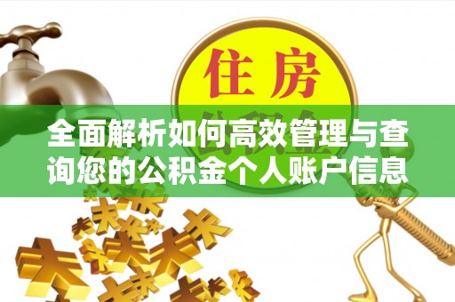凉山全面解析如何高效管理与查询您的公积金个人账户信息